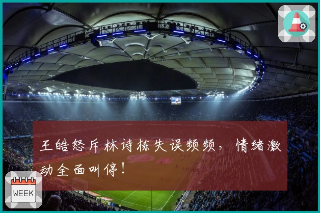 王皓怒斥林诗栋失误频频，情绪激动全面叫停！
